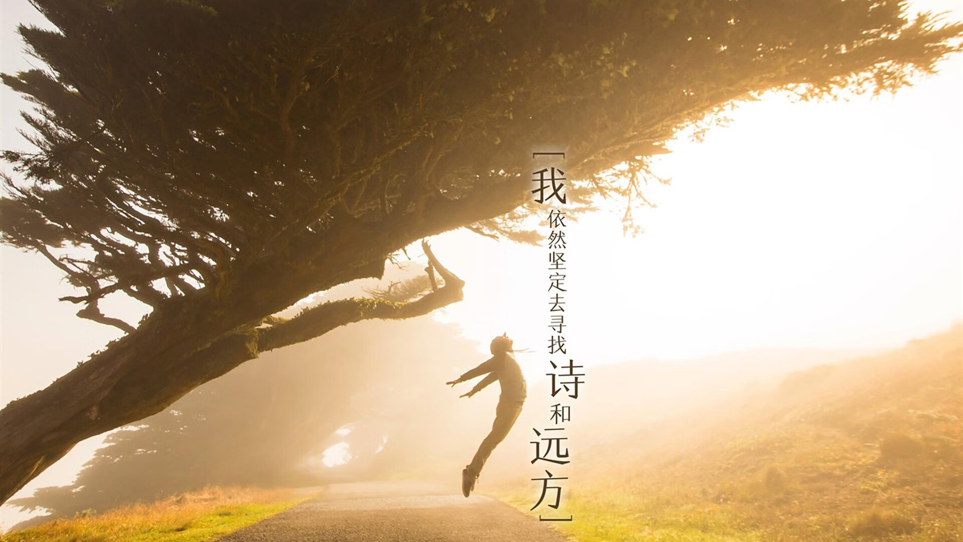 体育场馆数字化管理体系，体育场馆智能化系统