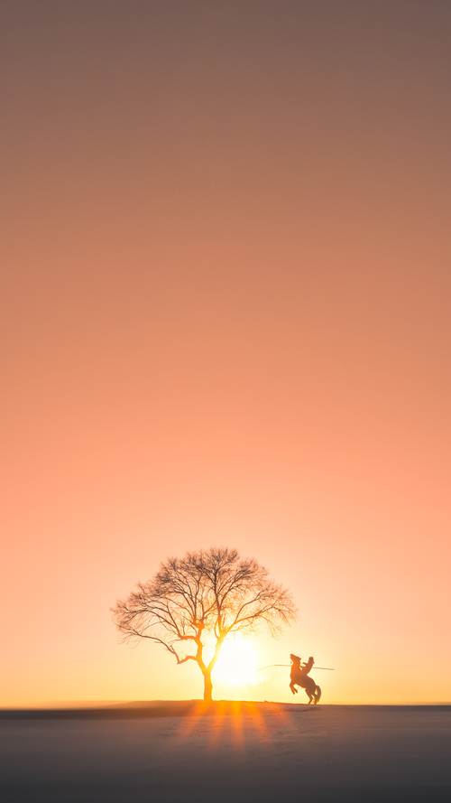 体育场馆数字化管理体系，体育场馆智能化系统